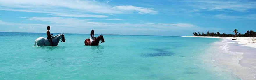 The best Kitesurf holidays!