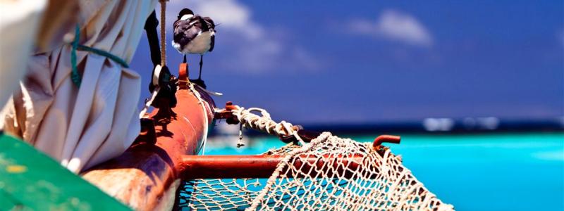 The best Kitesurf holidays!