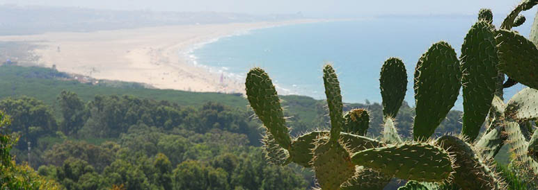 The best Kitesurf holidays!