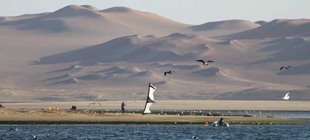 paracas