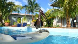 apartment-mauritius-kitesurf