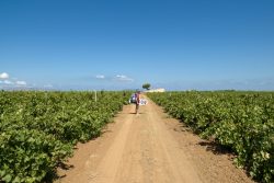 sicily-exploring