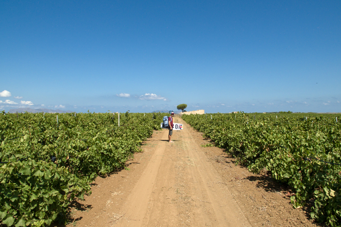 sicily-exploring