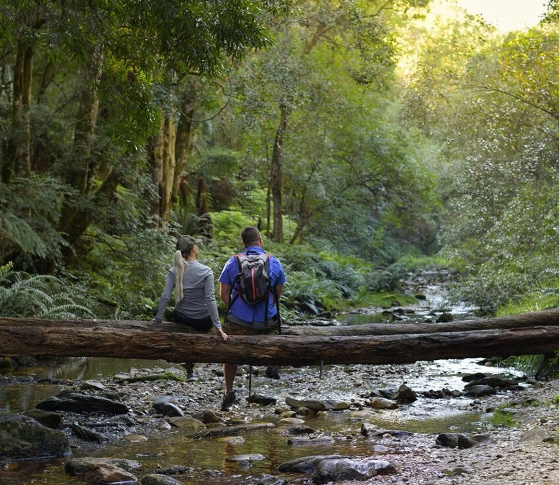 Knysna-hike-Garden-Route