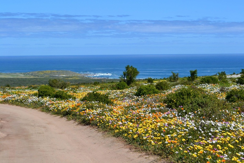 Langebaan-Lagoon