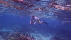 Mozambique-snorkelling