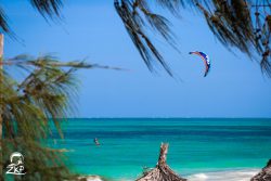 zanzibar-kitefoil