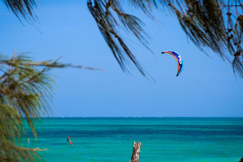 zanzibar-kitefoil