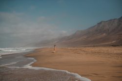 canary-islands-fuerteventura