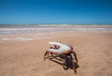 Kitesurfing Dakhla, Morocco