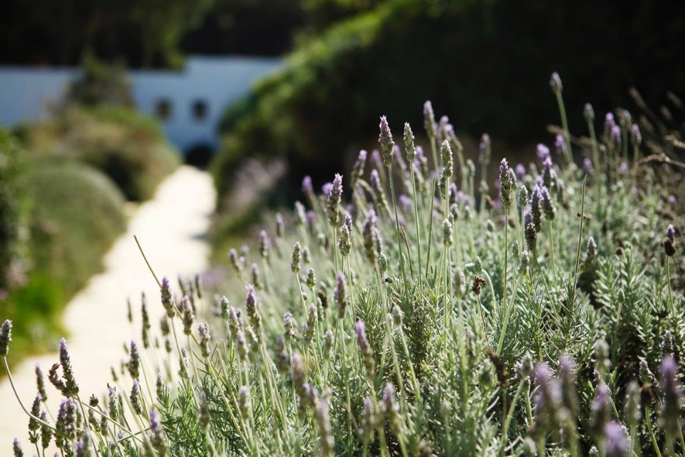 Golf De Roses kitesurf holidays