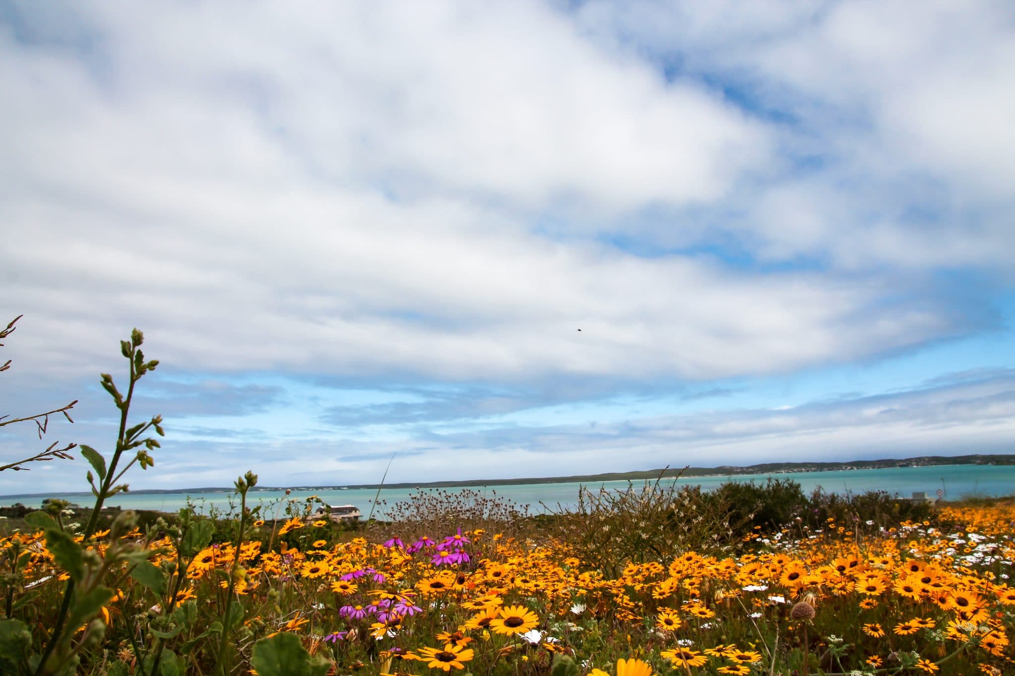 Kite Beach Hotel And Spa, Langebaan - kitesurf holidays