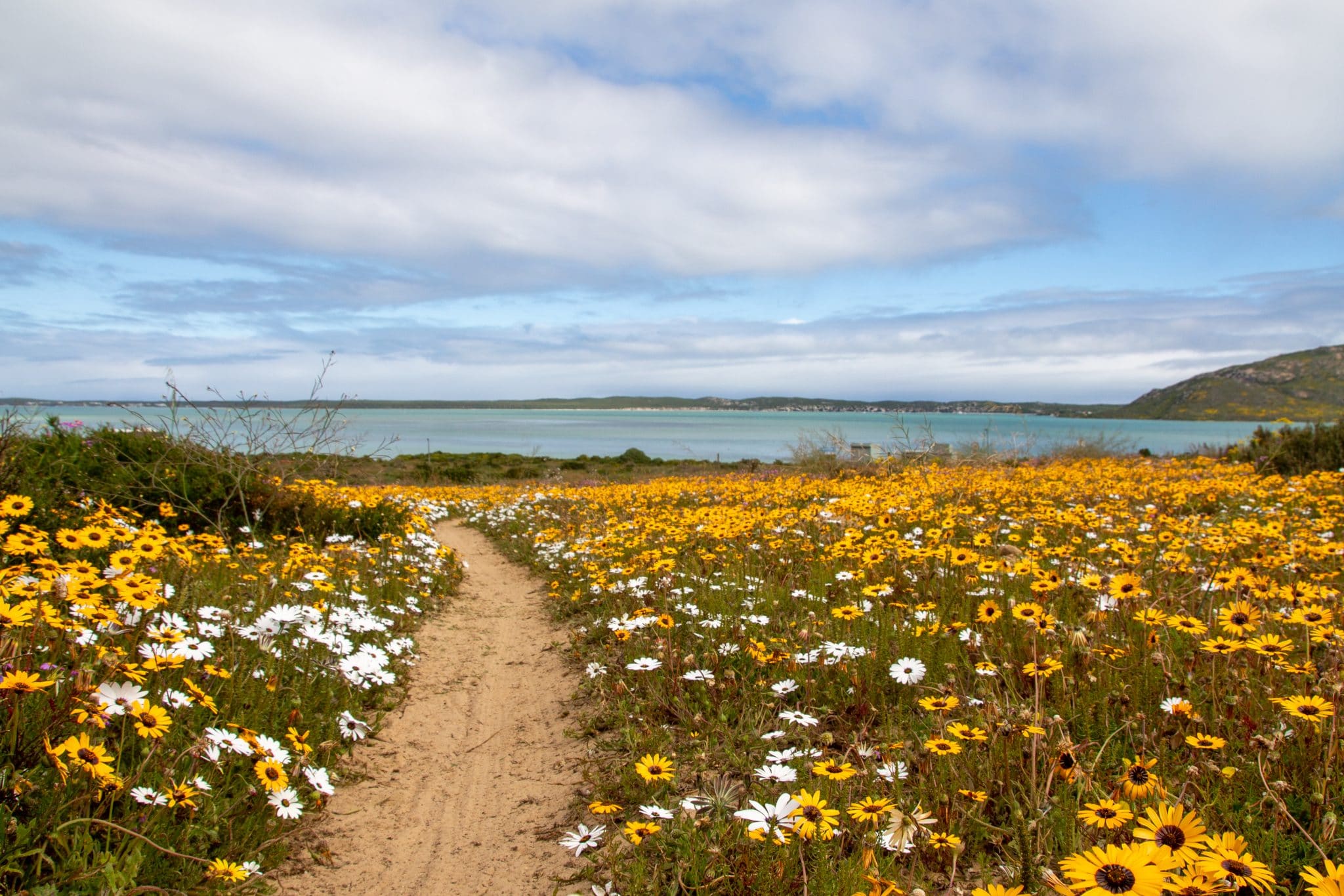 Kite Beach Hotel And Spa, Langebaan - kitesurf holidays