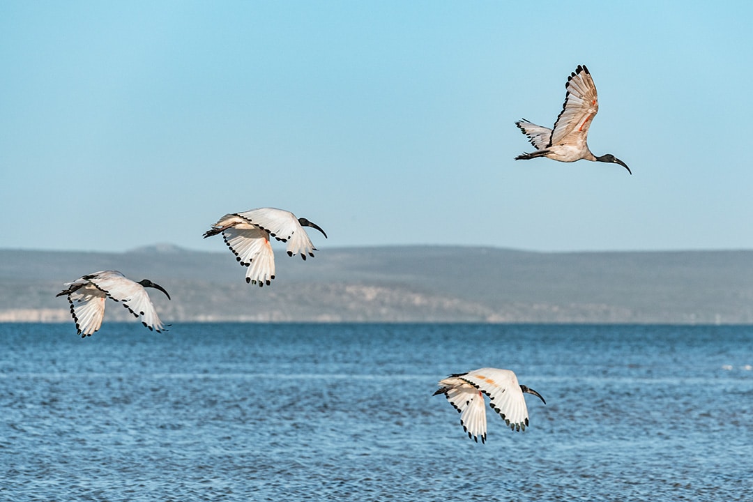 Kite Beach Hotel And Spa, Langebaan - kitesurf holidays