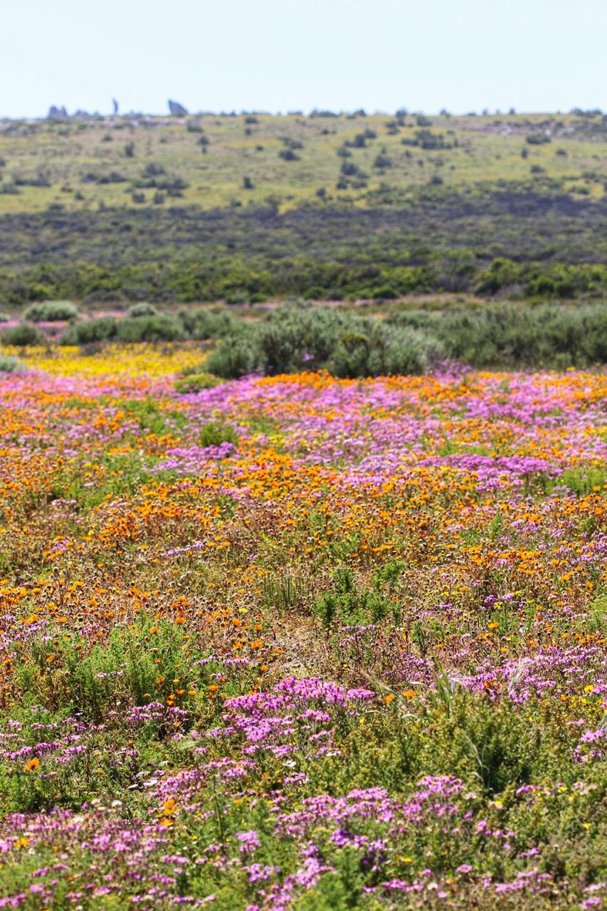 Kite Beach Hotel And Spa, Langebaan - kitesurf holidays
