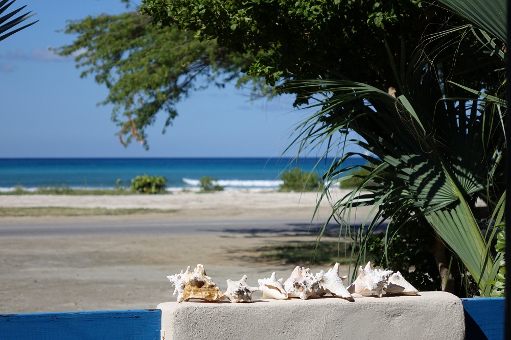 Aruba Sunset Beach Studios, Aruba - kitesurf holidays