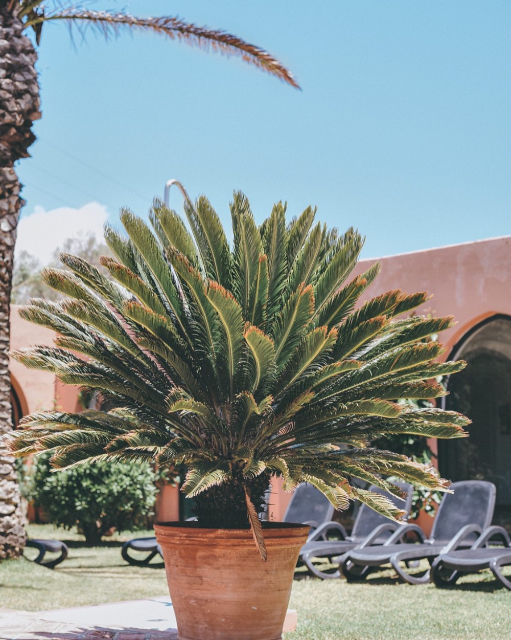 Hurricane Hotel, Tarifa - kitesurf holidays