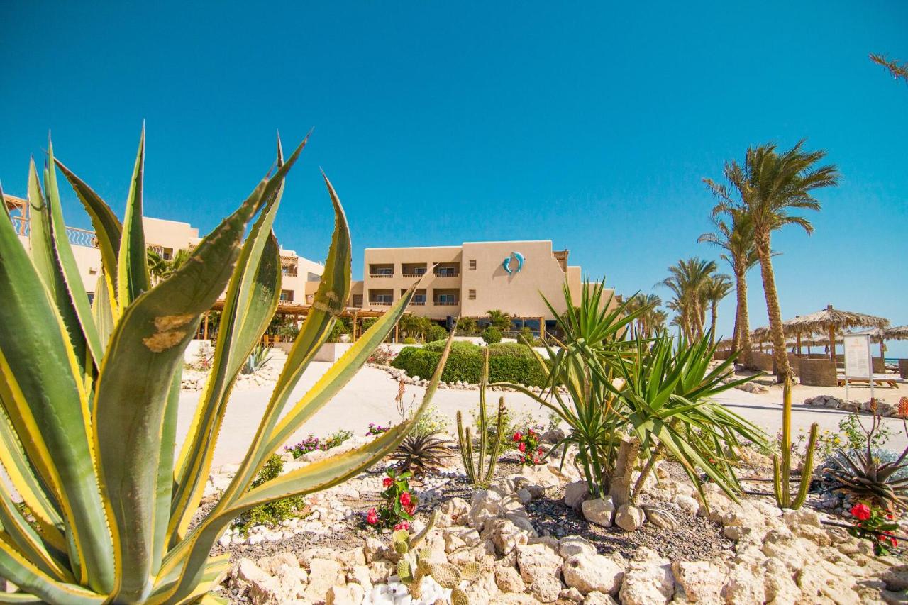 The Breakers Kitesurf And Dive Lodge, Soma Bay - kitesurf holidays
