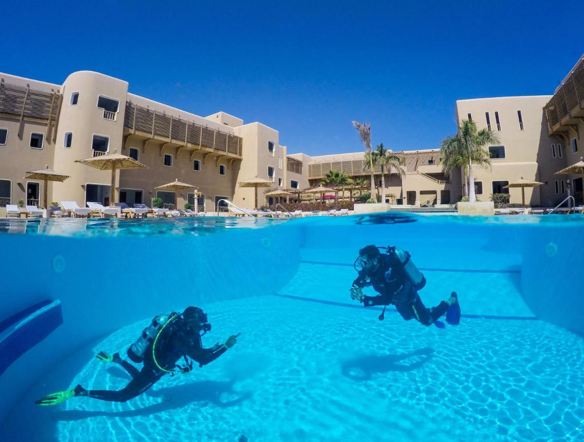 The Breakers Kitesurf And Dive Lodge, Soma Bay - kitesurf holidays