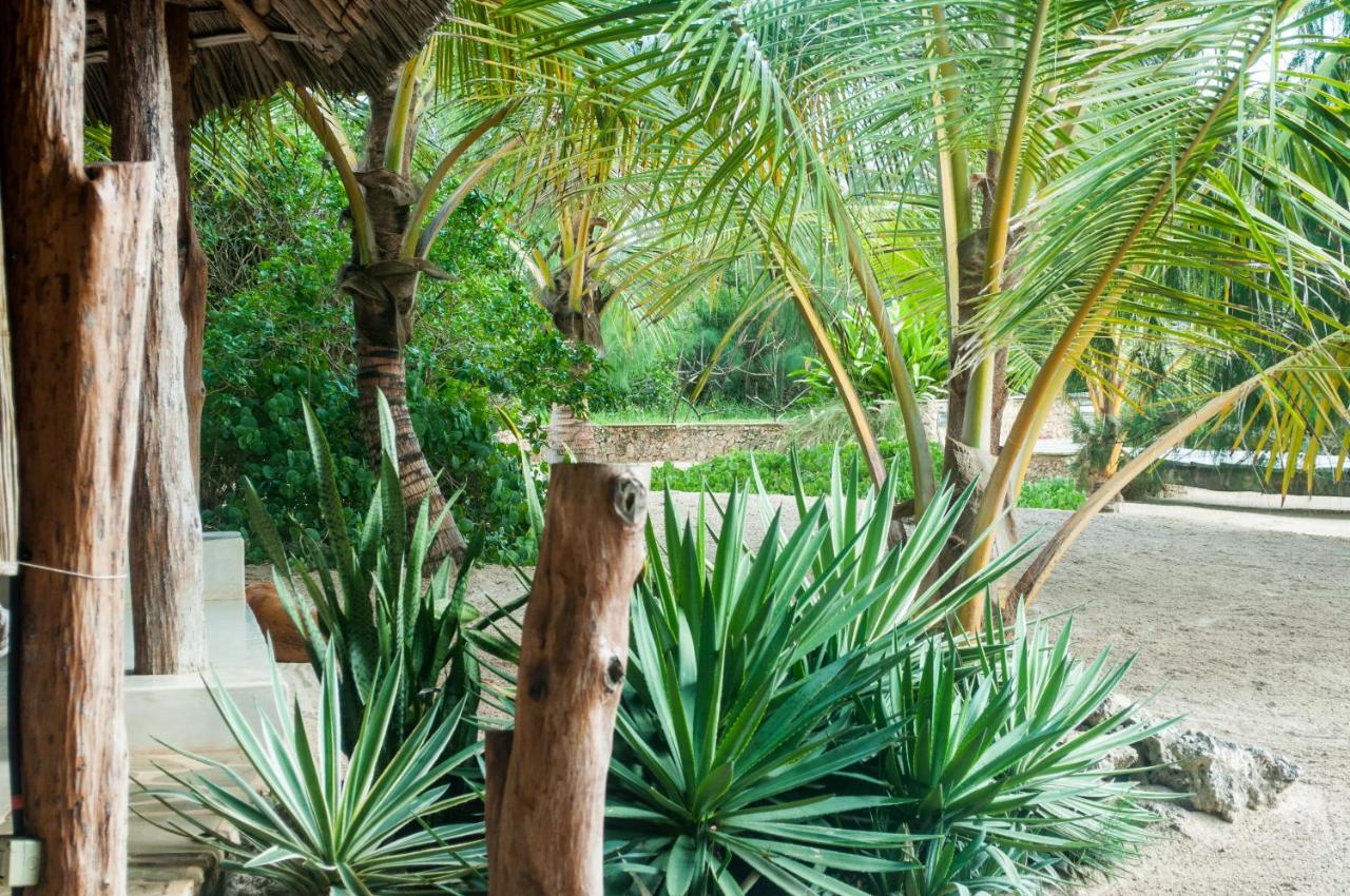 Lonno Lodge Watamu, Watamu - kitesurf holidays