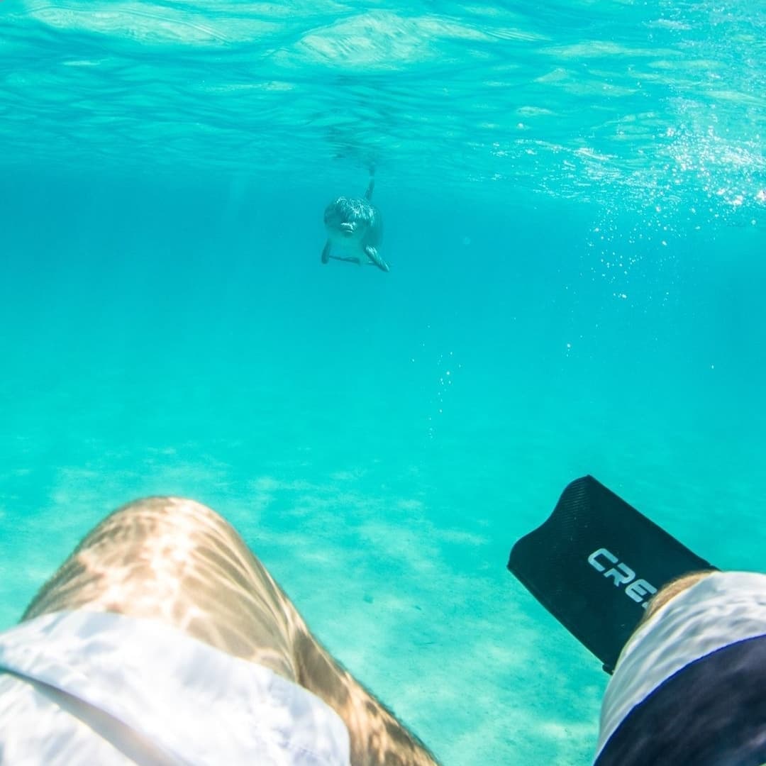 H2O Lifestyle Watersport School, Providenciales