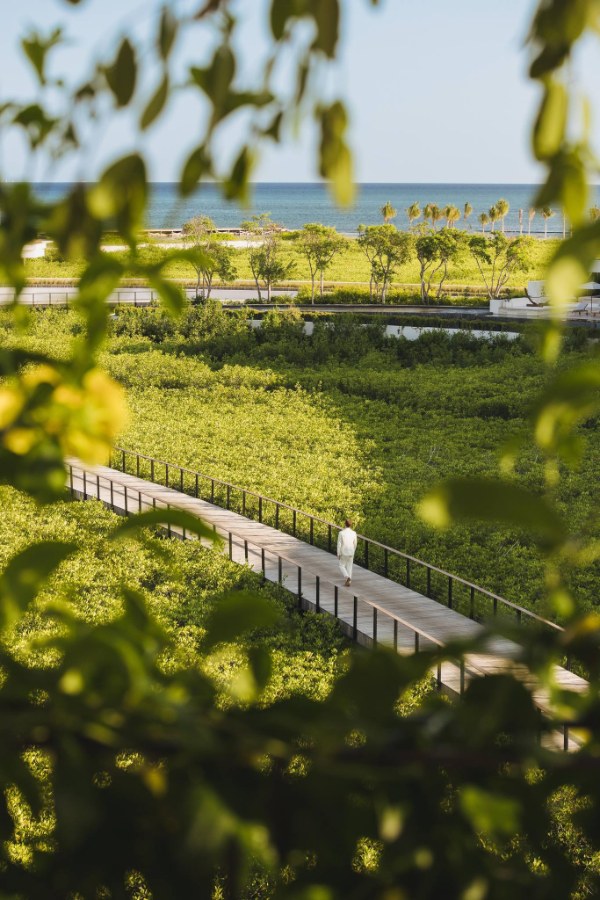 The St. Regis Kanai Resort, Riviera Maya - kitesurf holidays