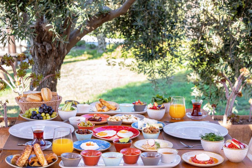 Alacati Beach Resort, Alacati - kitesurf holidays