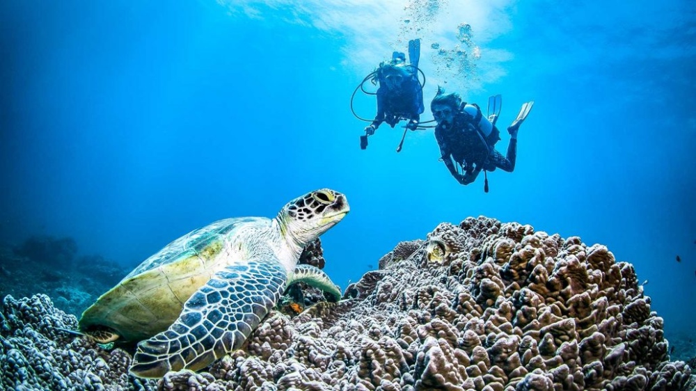 H20 Extreme, Diani
