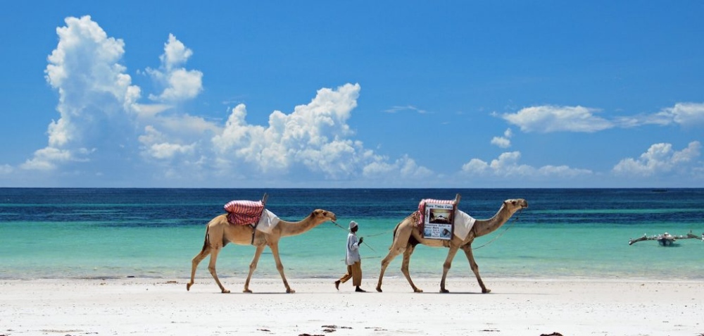 H20 Extreme, Diani